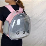 Transparent Dog Cat Pet Carrier Backpack - Weriion