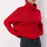 Winter Turtleneck Sweater Fashion Personality Long Sleeve Knitted Top Women's Clothing - Weriion