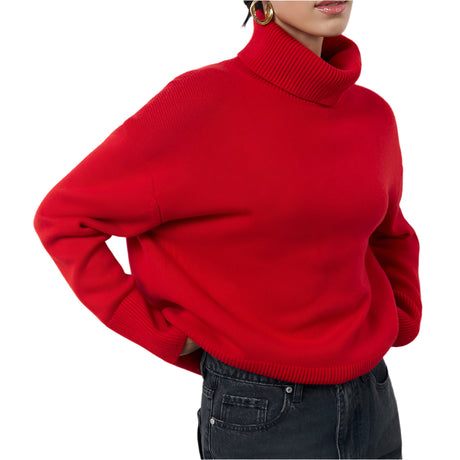 Winter Turtleneck Sweater Fashion Personality Long Sleeve Knitted Top Women's Clothing - Weriion