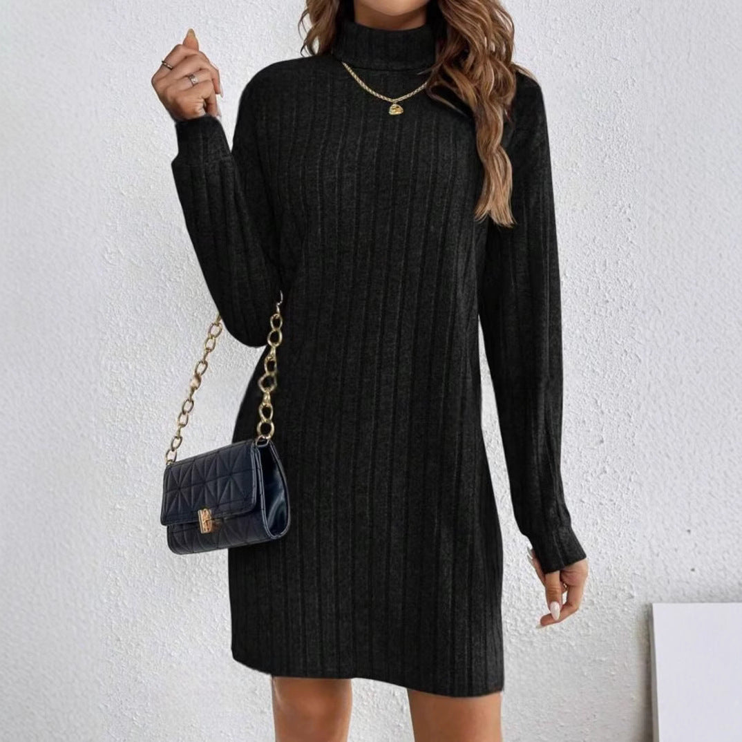 Women's Loose Fit Polyester Turtleneck Collar Dress - Weriion