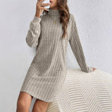 Women's Loose Fit Polyester Turtleneck Collar Dress - Weriion