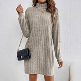 Women's Loose Fit Polyester Turtleneck Collar Dress - Weriion