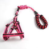 1.2M Nylon Dog Leash With harness - Weriion