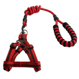 1.2M Nylon Dog Leash With harness - Weriion