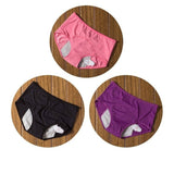 3pcs/Set Menstrual Panties For Women - Weriion