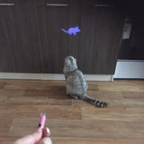 Amazing Cat Toy Creative and Funny Pet Cat Toys LED Pointer light Pen - Weriion