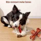 Bone Dog Chew Toy For Aggressive Chewers Extremely Durable - Weriion