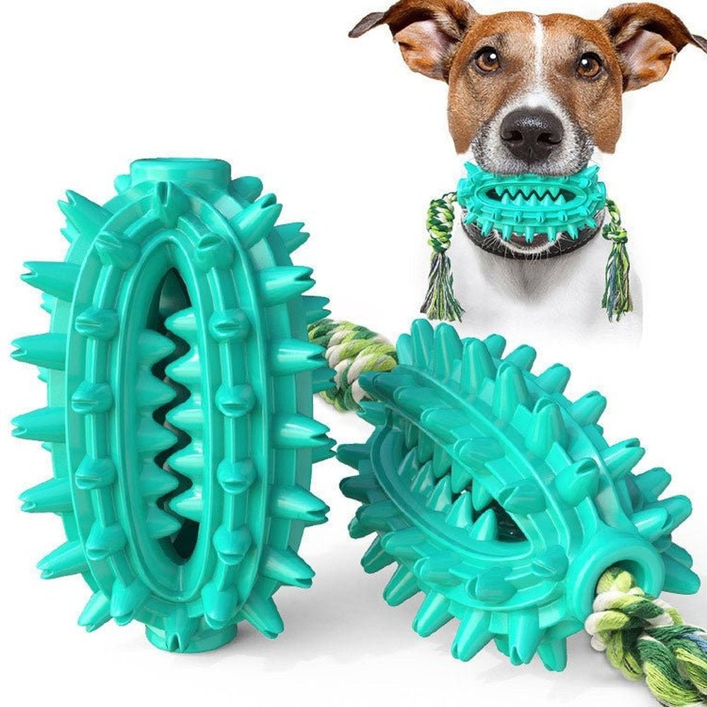 Cactus Shaped Dog Chew Toy With Cotton Rope - Weriion