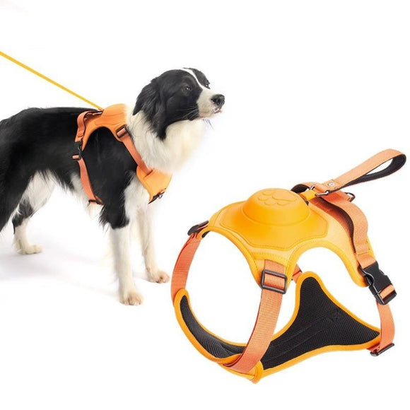 Comfortable Adjustable Dog Leash With Harness - Weriion