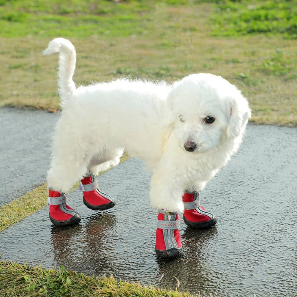 Comfortable & Durable Non-Slip Dog Shoes - Weriion