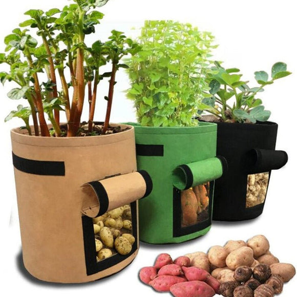 Cultivation Bags With Three Different Sizes - Weriion