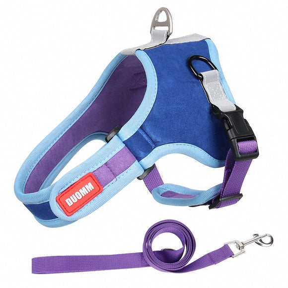 Dog Leash & Adjustable Harness With Abdominal Protective Cushion - Weriion