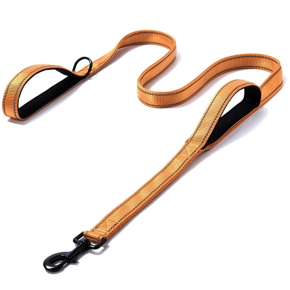 Dog Leash With Two Handles For Medium And Large Dogs - Weriion