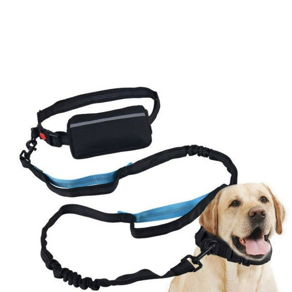 Elastic High Quality Dog Leash With Belt - Weriion
