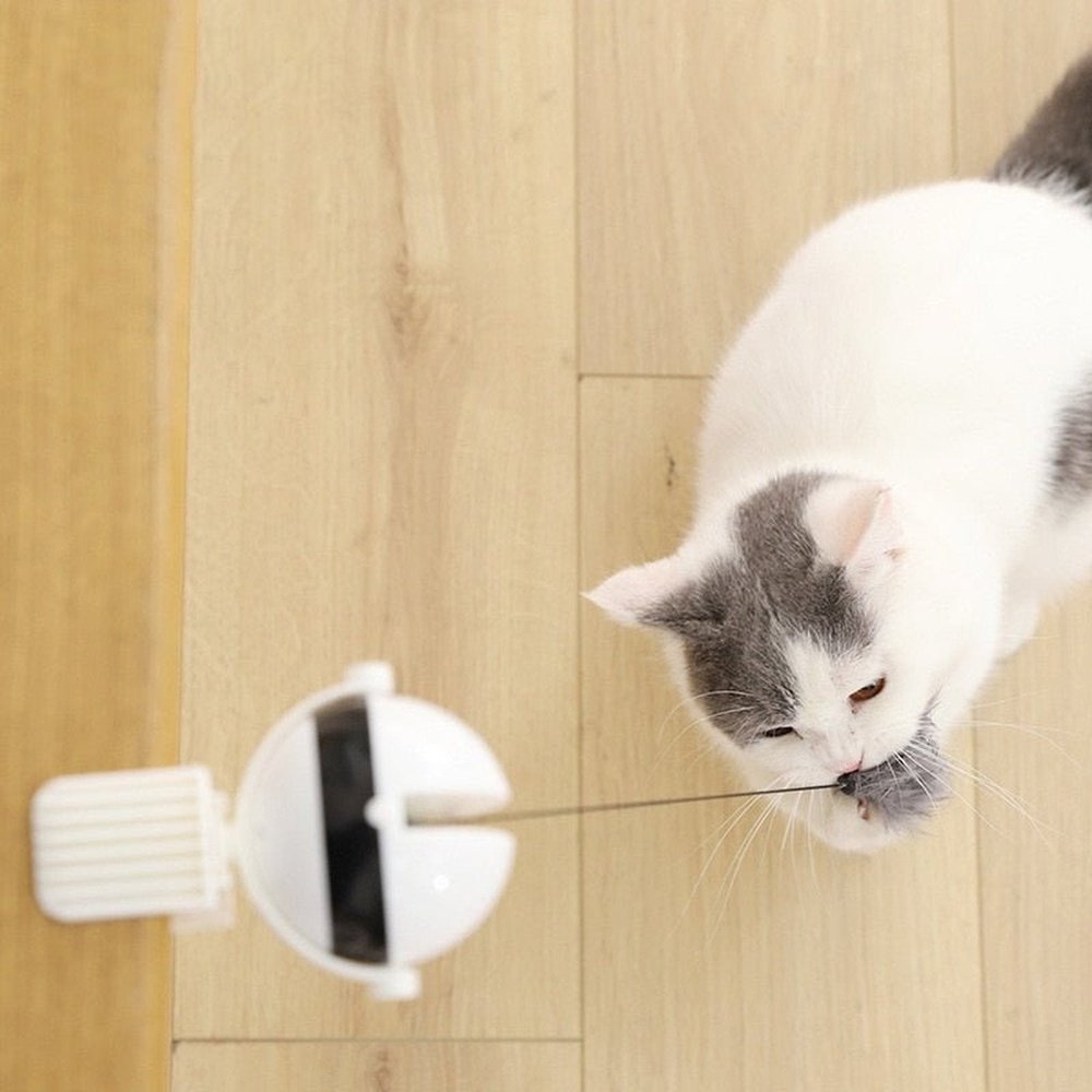 Electric Automatic Inreractive Lifting Cat Ball Toy - Weriion