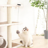 Electric Automatic Inreractive Lifting Cat Ball Toy - Weriion