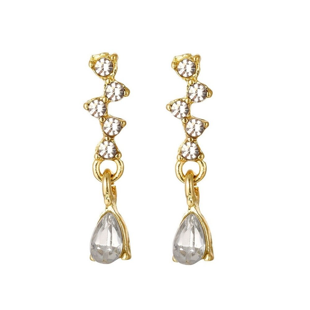 Exquisite Water Drop Shaped Earrings - Weriion