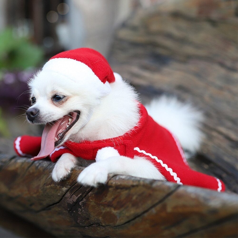 Fashionable Christmas Hat And Cloak Christmas Pet Outfit - Weriion