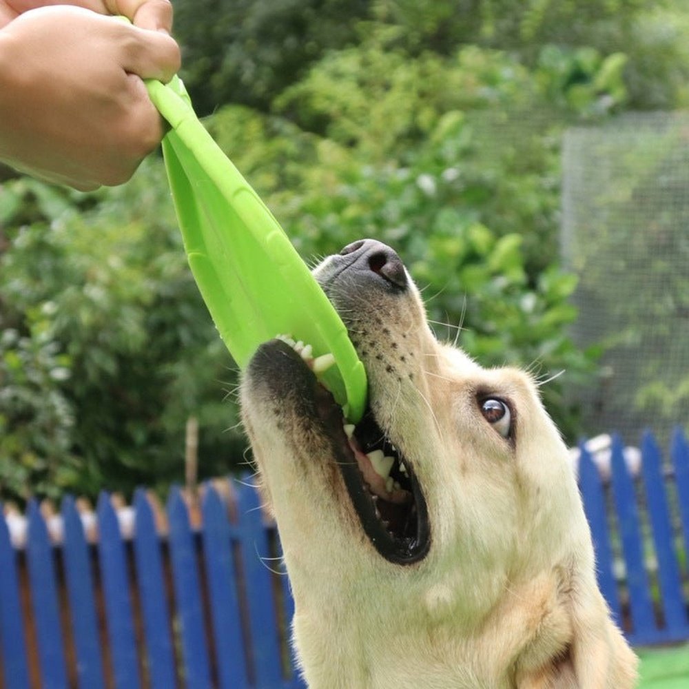 Interactive Bite Resistant Frisbee Dog Toy - Weriion