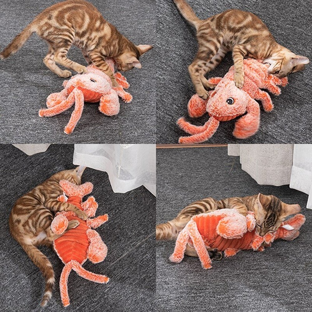 Interactive Lobster Cat Toy - Weriion