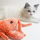 Interactive Lobster Cat Toy - Weriion