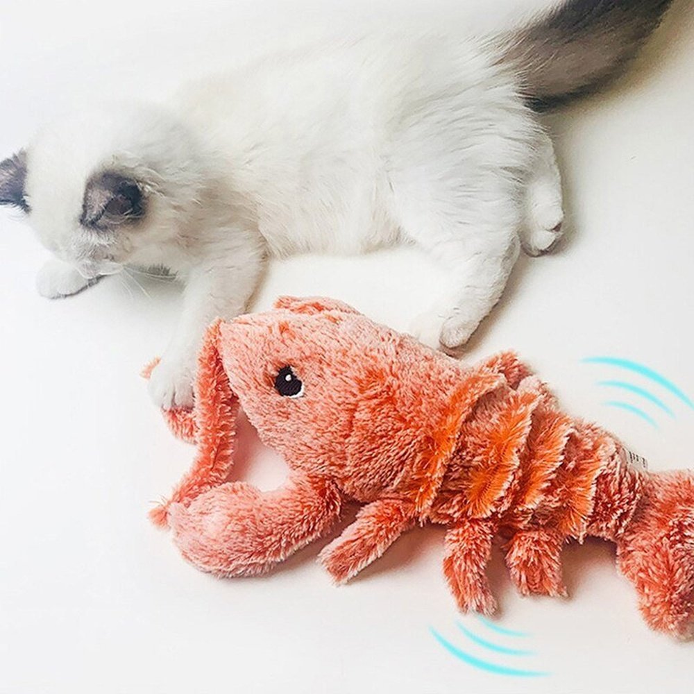 Interactive Lobster Cat Toy - Weriion