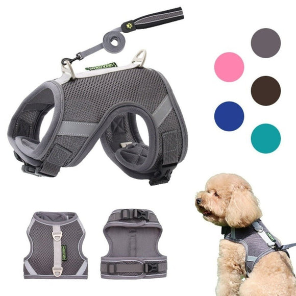Leash With Reflective Breathable Harness - Weriion
