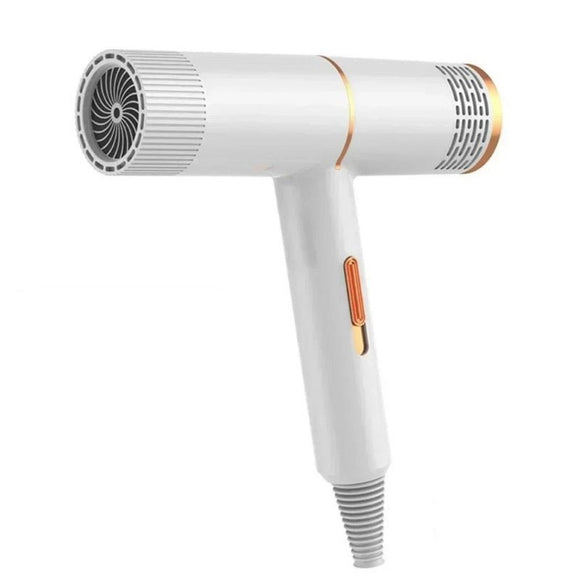 Low Noise Hair Dryer - Weriion