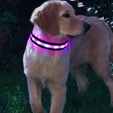 Nylon LED Pet Dog Collar Night Safety Luminous Fluorescent Collar - Weriion