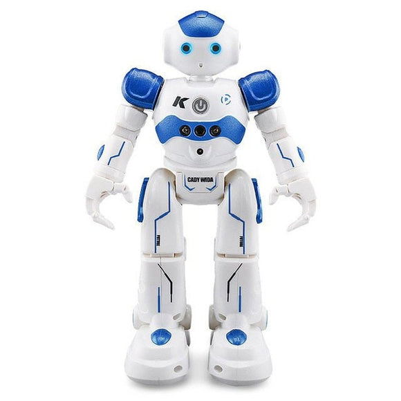 RC Intelligent Robot Toy - Weriion