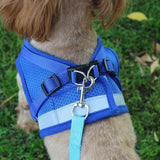 Reflective Dog Harness & Leash For Small & Medium Dogs - Weriion