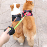 Retractable Double Dog Leash With Attached Flashlight - Weriion