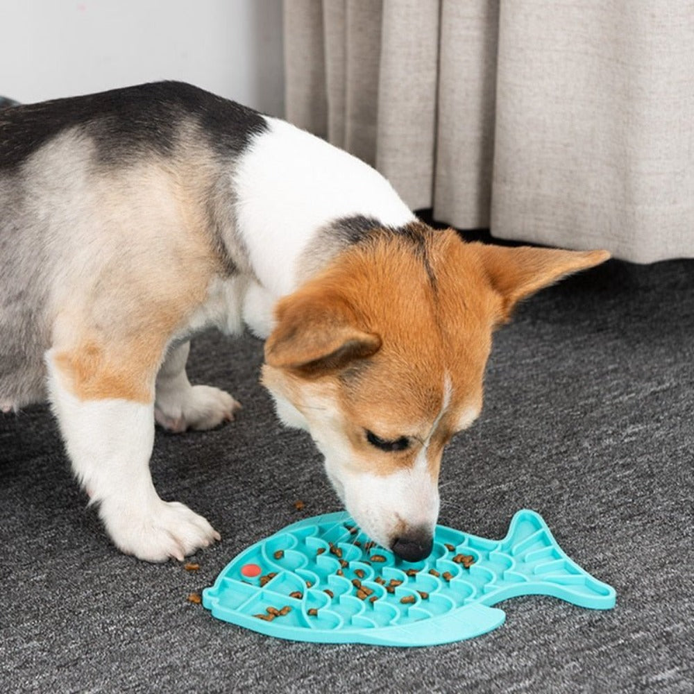 Silicone Pet Food Bowl - Weriion