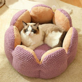 Soft Cactus Shaped Pet Bed - Weriion
