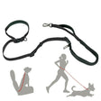 Versatile Nylon Dog Leash - Weriion