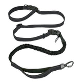 Versatile Nylon Dog Leash - Weriion