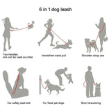 Versatile Nylon Dog Leash - Weriion