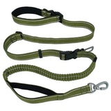 Versatile Nylon Dog Leash - Weriion