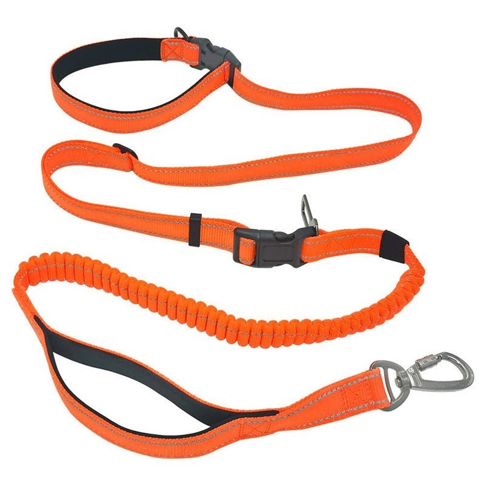 Versatile Nylon Dog Leash - Weriion