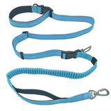 Versatile Nylon Dog Leash - Weriion