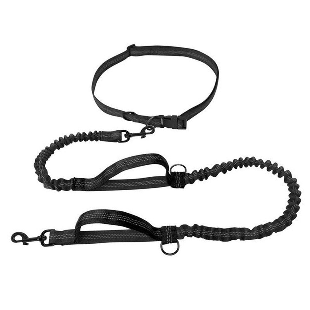 Versatile Reflective Elastic Dog Leash With Belt - Weriion