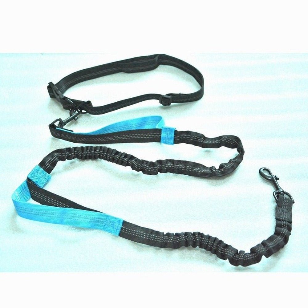 Versatile Reflective Elastic Dog Leash With Belt - Weriion