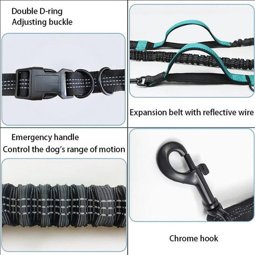 Versatile Reflective Elastic Dog Leash With Belt - Weriion