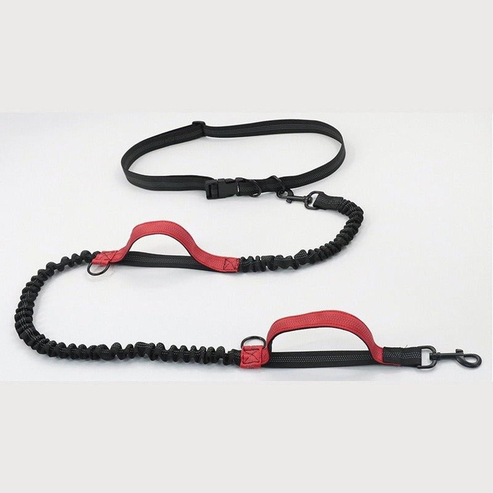 Versatile Reflective Elastic Dog Leash With Belt - Weriion