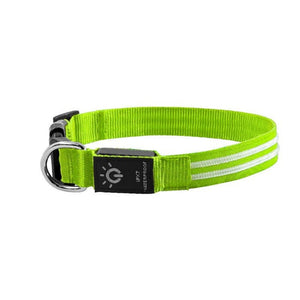 Waterproof LED Light Luminous Dog Collar - Weriion